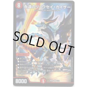 画像: 永遠のリュウセイ・カイザー