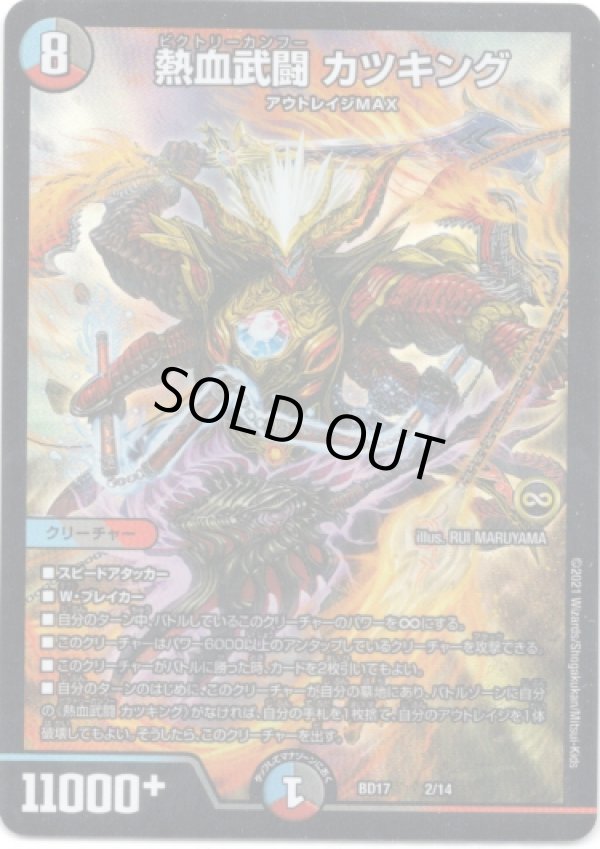 画像1: 熱血武闘 カツキング