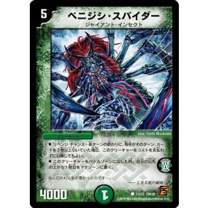 画像: ※傷有り品(返品交換対象外)ベニジシ・スパイダー