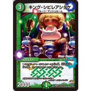 画像: ※傷有り品（返品交換対象外）キング・シビレアシダケ