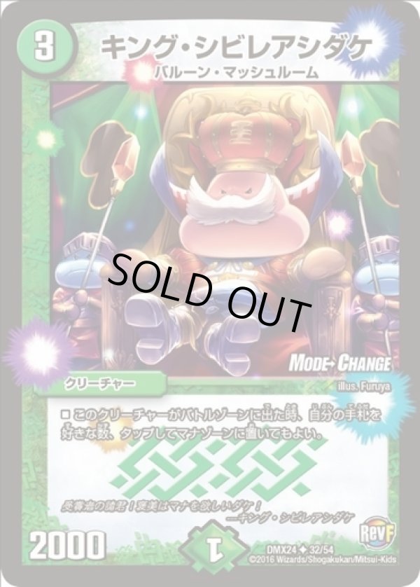 画像1: ※傷有り品（返品交換対象外）キング・シビレアシダケ