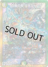 画像: 百族の長 プチョヘンザ