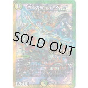 画像: 百族の長 プチョヘンザ