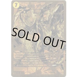 画像: 煌龍 サッヴァーク