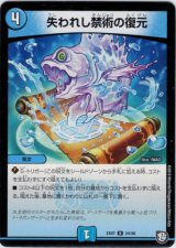 画像: 失われし禁術の復元