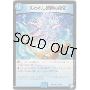 画像: 失われし禁術の復元