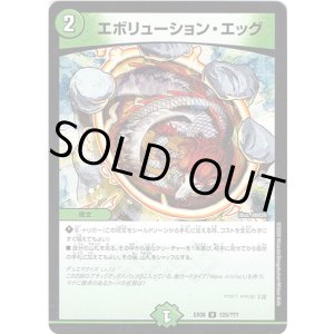 画像: エボリューション・エッグ
