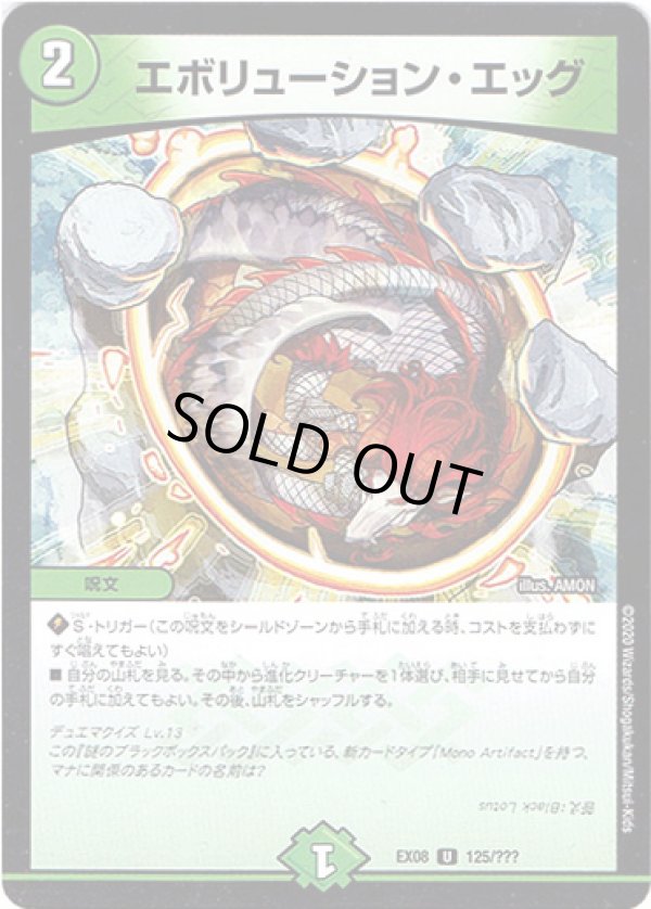 画像1: ※傷有り品（返品交換対象外）エボリューション・エッグ