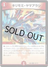 画像: キリモミ・ヤマアラシ