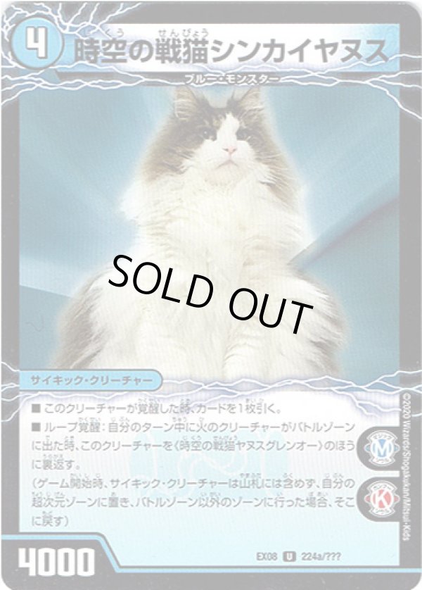 画像1: 時空の戦猫シンカイヤヌス(時空の戦猫ヤヌスグレンオー)