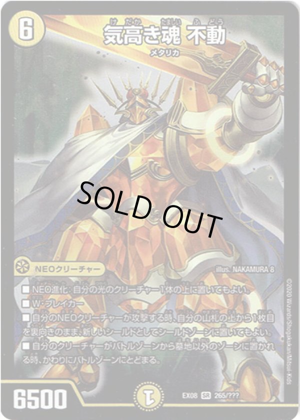 画像1: 気高き魂 不動