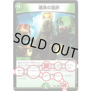 画像: ※傷有り品(返品交換対象外)運命の選択