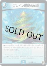 画像: ブレイン珊瑚の仙樹