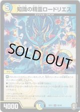 画像: 知識の精霊ロードリエス