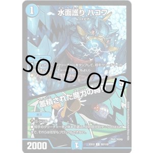 画像: 水面護り ハコフ / 蓄積された魔力の縛り