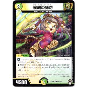画像: 暴輪の妹豹