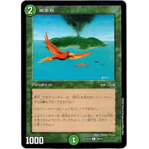画像: 極楽鳥
