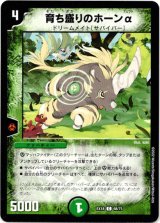 画像: 育ち盛りのホーンα