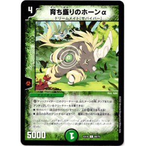 画像: 育ち盛りのホーンα