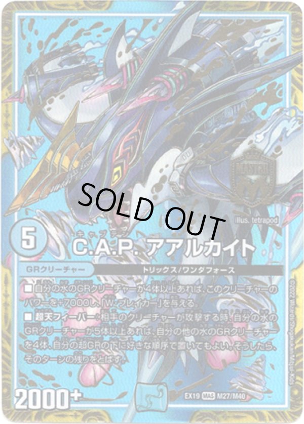 画像1: ※傷有り品（返品交換対象）C.A.P. アアルカイト