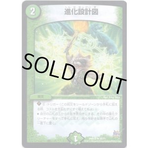 画像: 進化設計図