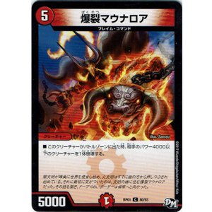 画像: 爆裂マウナロア