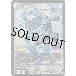 画像: 大迷宮亀 ワンダー・タートル(秘)