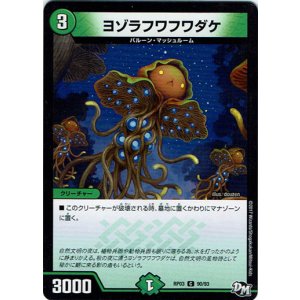 画像: ヨゾラフワフワダケ