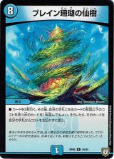 画像: ブレイン珊瑚の仙樹