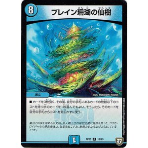 画像: ブレイン珊瑚の仙樹