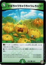 画像: かぼちゃうちゃうちゃうんちゃう？
