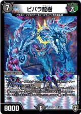 画像: ※傷有り品（返品交換対象外）ビバラ龍樹