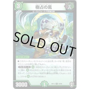 画像: 樹占の風
