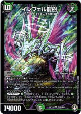 画像: インフェル龍樹