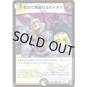 画像: ※傷有り品（返品交換対象外）密かで華麗なるカイタイ