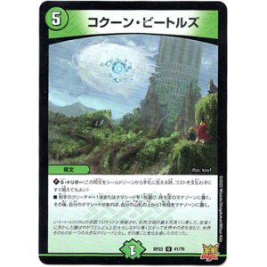 画像: コクーン・ビートルズ