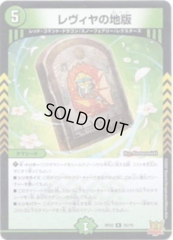 画像1: ※傷有り品（返品交換対象外）レヴィヤの地版