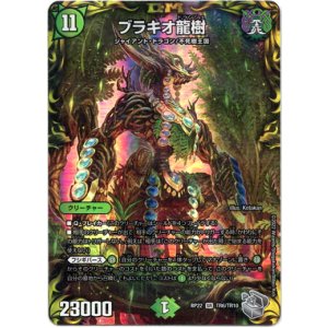 画像: ブラキオ龍樹