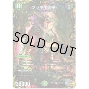 画像: ブラキオ龍樹