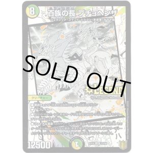 画像: 百族の長 プチョヘンザ