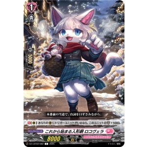 画像: これから始まる人形劇 ロコヴェラ