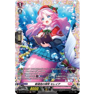 画像: 【FR】新境地の探究 セレイア