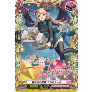 画像: 【TGR】飾られた夜空 ナルマナール