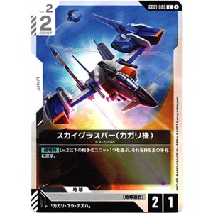 画像: スカイグラスパー(カガリ機)