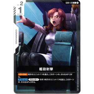 画像: 艦砲射撃