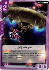 画像: ハンマーヘッド