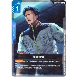 画像: 部隊指令