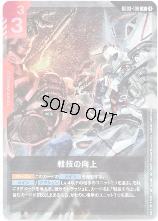 画像1: 戦技の向上