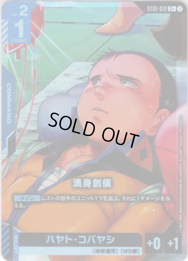 画像1: 【パラレル+】満身創痍