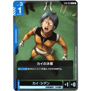 画像: カイの決意